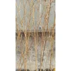 10 Thân trúc quân tử khô. trúc khô làm decor. Cây trúc khô