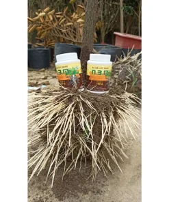 Kích Rễ N3M Pro - Siêu Ra Rễ Cực Mạnh - Phân Bón Lá NPK (100ml)